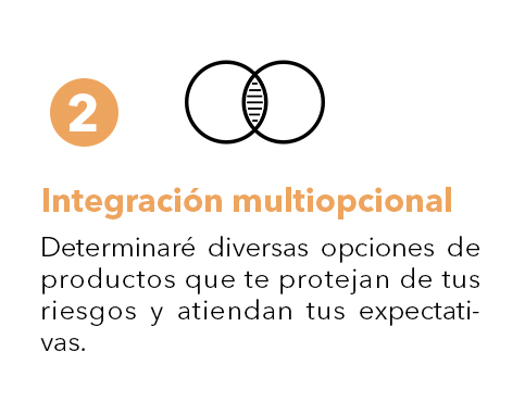 integración multiopcional